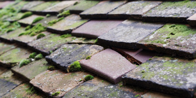 Sambourne roof repair costs